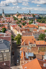 Wall Mural - Tallin Panoramic View, Estonia