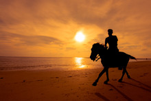 Silhouette Man Riding Horse On The Beach During Sunset