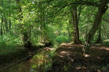 Canvas Print - ru des vaux de Cernay dans le parc naturel régional de la Haute Vallée de Chevreuse