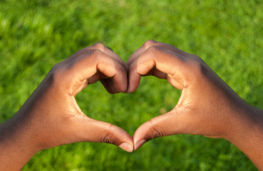 Wall Mural - Black hands in heart shape with green grass background