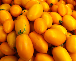 fresh orange tomatoes lying in a box.