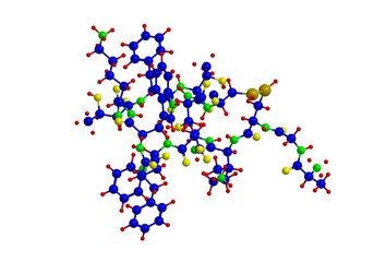 Canvas Print - Molecular structure of somatostatin, 3D rendering