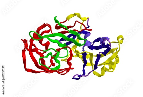 [DIAGRAM] Diagram Of Pepsin - MYDIAGRAM.ONLINE