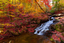 Beautiful Little Waterfall In Autumn With Vibrate Colors On The Gunpowder River Maryland