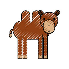 Poster - african camel isolated icon vector illustration design