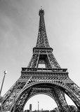 Fototapeta Miasta - The world famous Eiffel Tower in Paris