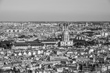 Fototapeta Paryż - The huge city of Paris - aerial view
