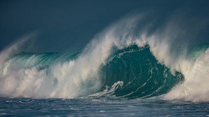 Wall Mural - giant waves of pacific ocean. surfing sea water with nobody on image