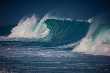 Wall Mural - big breaking ocean wave crashing on water surface of hawaiian aquatory