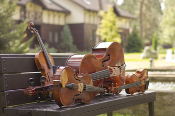 Wall Mural - String Quartet. Cello. Viola. Violin. Live music. Concert in the forest
