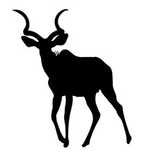 Kudu, Silhouette, Animal, African, Free Stock Photo - Public Domain