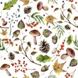 Watercolor autumn forest pattern. Hand painted mushroom, rowan, fall leaves, tree branch, pine cone, berry and acorn isolated on white background. Nature illustration for design.