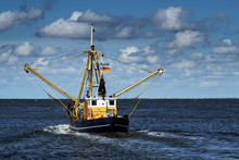 Crabs Or Shrimp Fishing Boat On The North Sea Under A Blue Sky With Clouds, Copy Space