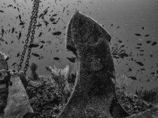 Ship anchor underwater