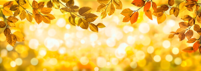 Wall Mural - herbstblätter als rahmen vor buntem bokeh hintergrund