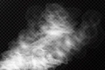 Wall Mural - Vector realistic isolated smoke effect on the transparent background. Realistic fog or cloud for decoration.