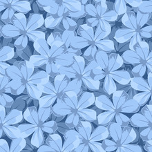 Vector Seamless Background With Blue Plumbago Flowers.