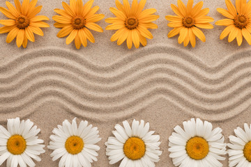 Wall Mural - Beautiful zigzag of sand and flowers lying on the sand.