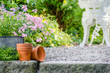 Cottage garden - beautiful flowers in pots with table and chair on the background
