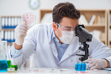 Male doctor working in the lab on virus vaccine