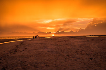 Wall Mural - Sunset Walking down the beach 