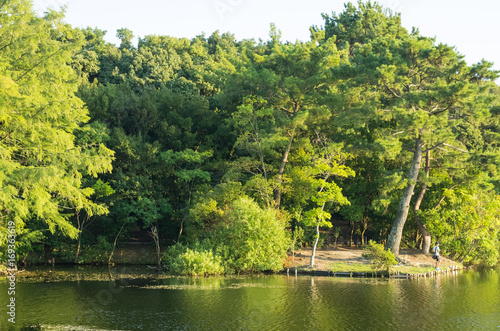 夕方 公園の池の風景 Buy This Stock Photo And Explore Similar Images At Adobe Stock Adobe Stock 夕方 公園の池の風景 Buy This Stock Photo And Explore Similar Images At Adobe Stock Adobe Stock