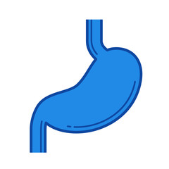 Sticker - Stomach vector line icon isolated on white background. Stomach line icon for infographic, website or app. Blue icon designed on a grid system.