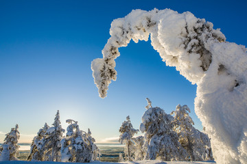 Sticker - Winter landscape in Lapland in Northern Finland