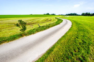 Poster - country road