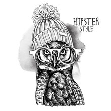 Eagle Owl In A Glasses And In A Hipster Knitted Cap Pompom. Vector Illustration.