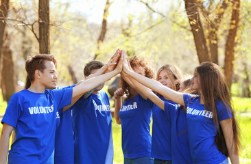 Wall Mural - Group of young volunteers in park on sunny day