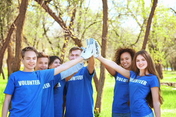 Wall Mural - Group of young volunteers in park on sunny day