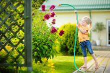 Cute Little Girl Watering Flowers In The Garden At Summer Day.