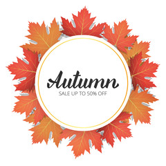Wall Mural - autumn. sale banner with trendy autumn lettering and maple leaves