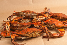  Pile Of Steamed And Seasoned Chesapeake Bay Blue Claw Crabs / On Brown Paper Table Cover