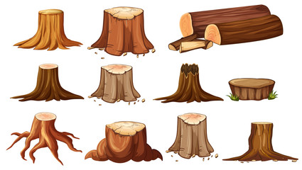 Poster - Different shapes of stump trees