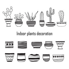 Wall Mural - Set of cacti . Vector line art illustration .