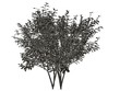 © Archmotion.net - 3d rendering of a silver tree isolated on a white background