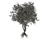 © Archmotion.net - 3d rendering of a silver tree isolated on a white background