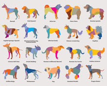 Vector Set Of Colorful Mosaic Dogs Silhouettes-3
