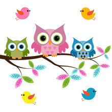 Owls On A Branch With Birds