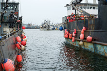 Fishing Boats With Red Fenders