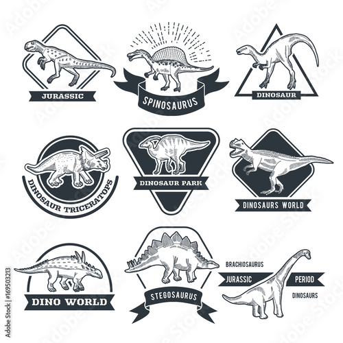 Fotografie, Obraz Monochrome grunge labels set with different dinosaurs