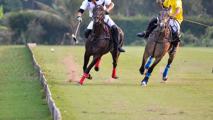 Wall Mural - Horse polo Ball is floating in the air during a polo match.