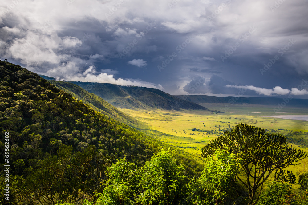 Landscape in The Ngorongoro Crater - Tanzania - obrazy, fototapety, plakaty 