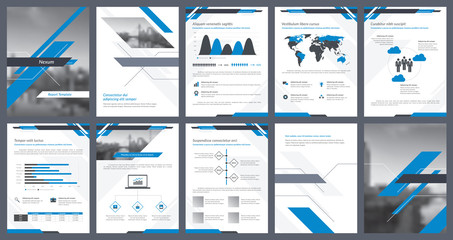 Wall Mural - Elements of infographics for report template and presentations templates. Corporate annual report, leaflet, book cover design, brochure and flyer template design. Vector Illustration. 