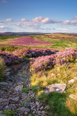 Wall Mural - Footpath to Simonside Hills portrait, popular with walkers and hikers they are covered with heather in summer, and are part of Northumberland National Park, overlooking  the Cheviot Hills