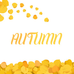 Wall Mural - minimalist autum background illustration with falling leaves