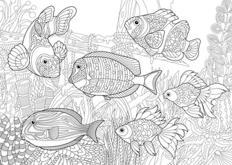 Coloring page of underwater world. Different fish species on the background of a sunken ship. Freehand sketch drawing for adult antistress coloring book in zentangle style.