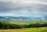 Fototapeta Dmuchawce - Summertime rural landscape - view against the mountains Western Carpathians, district the village Pokryvac in the Slovakia